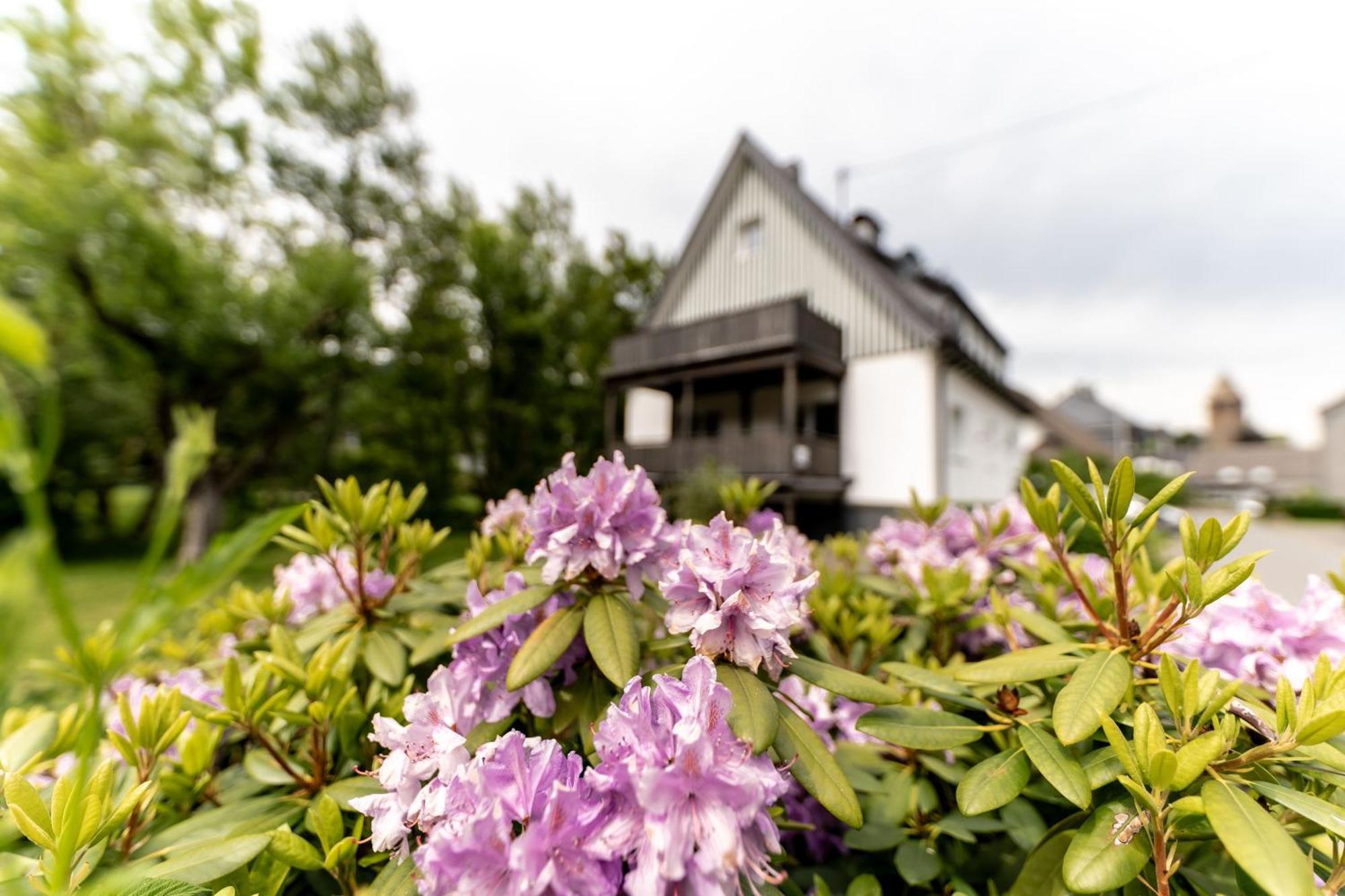 Ferienwohnung Haus An Der Lenne Леннештадт Экстерьер фото